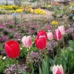 Thumbnail of post image 191