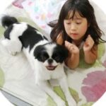 Thumbnail of related posts 174