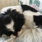 Thumbnail of related posts 200