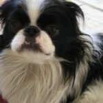 Thumbnail of related posts 172