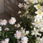 Thumbnail of related posts 127