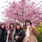 Thumbnail of related posts 109