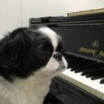 Thumbnail of related posts 110