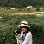 Thumbnail of related posts 119