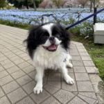 Thumbnail of post image 004